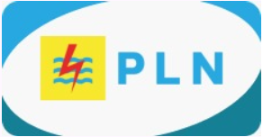 PLN Token 50